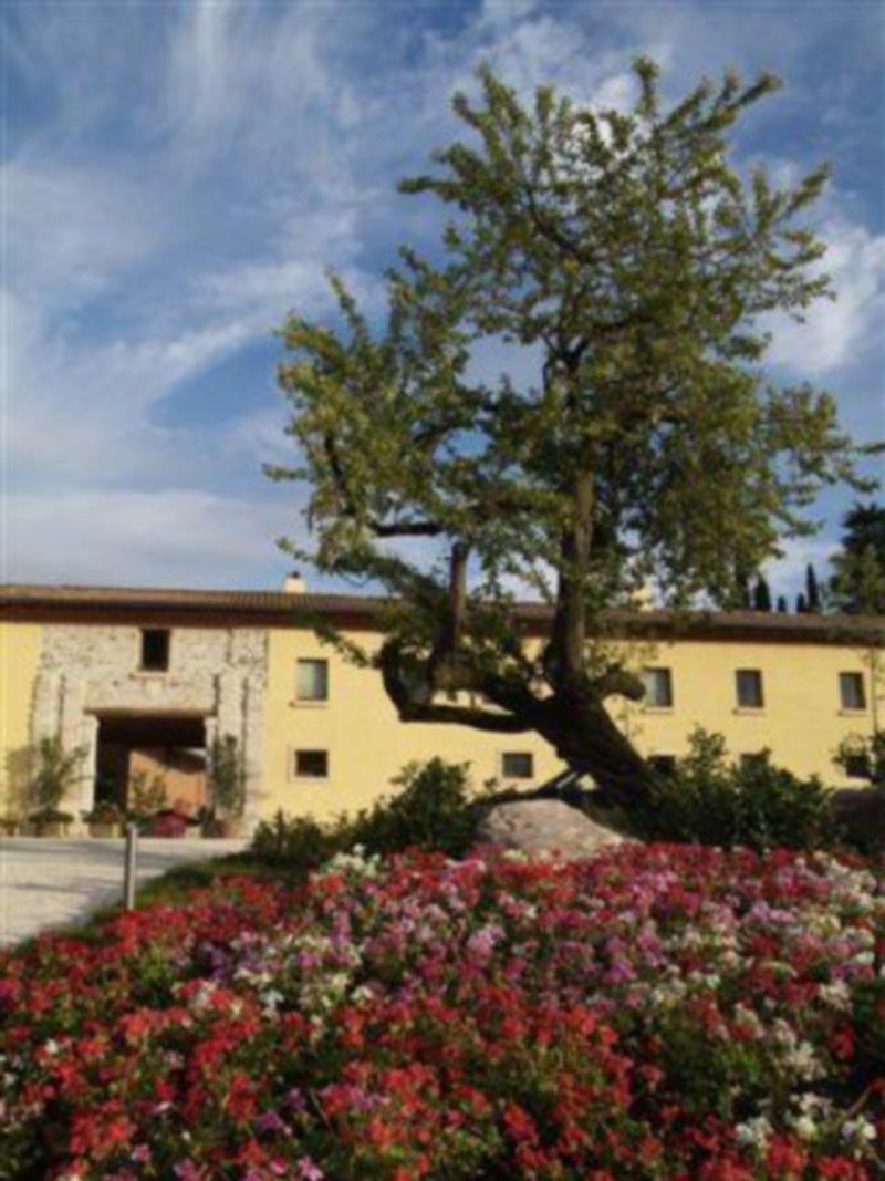 Relais Corte Cavalli Ponti sul Mincio Extérieur photo